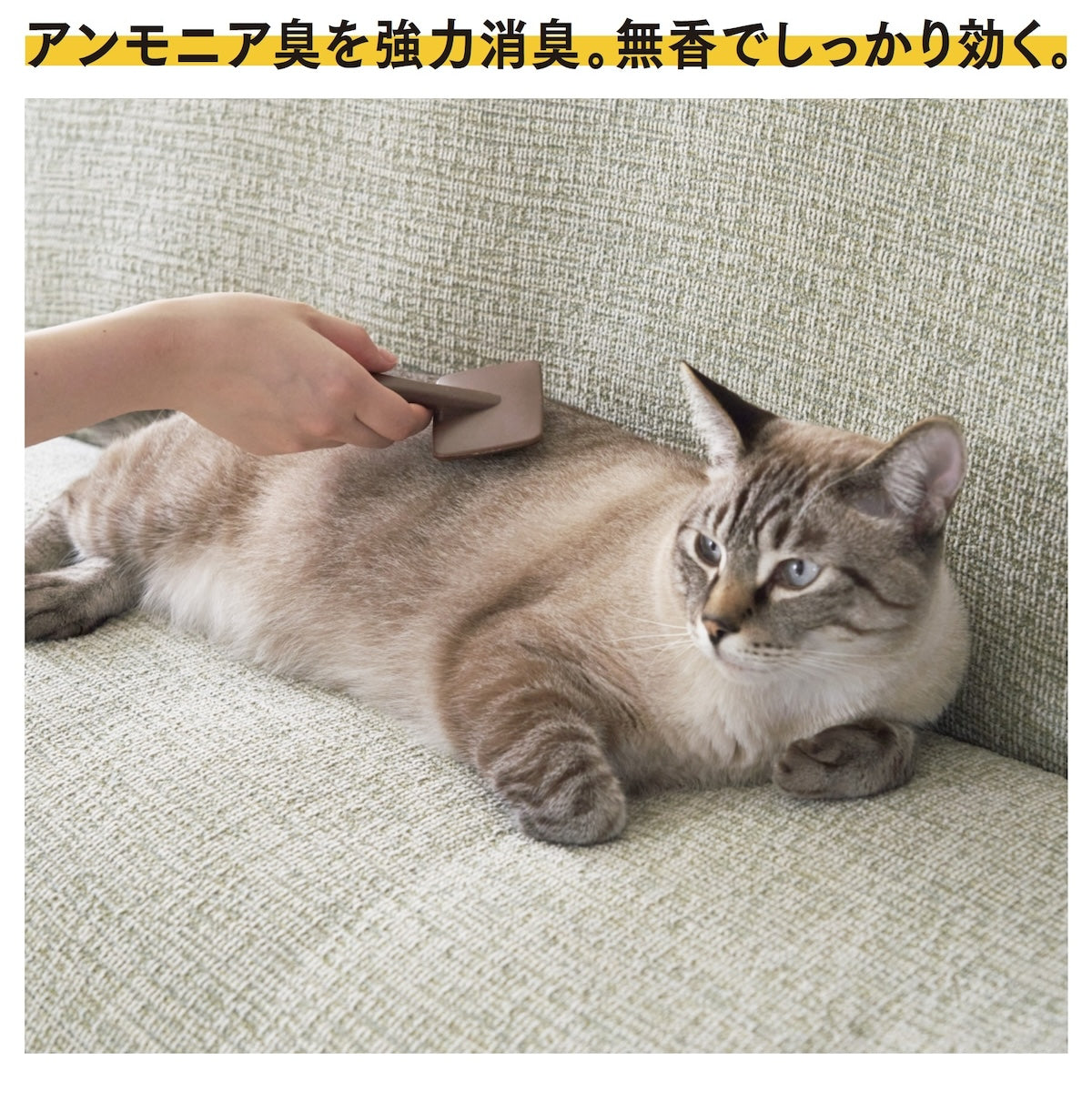 きえ〜る ペット用 ゼリータイプ お徳用 480g