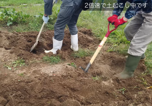 「土いきかえる」で収穫後の畑のお手入れと来年にむけての土づくりを