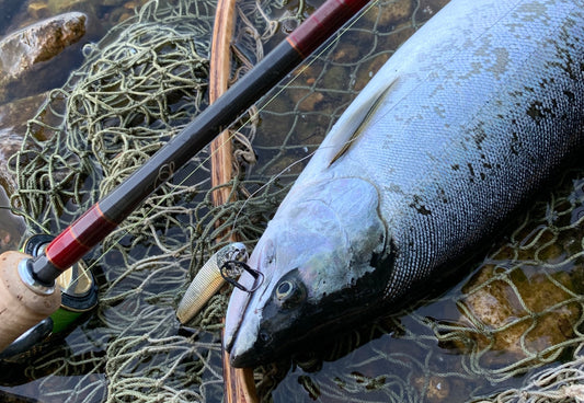 釣り道具の消臭にも