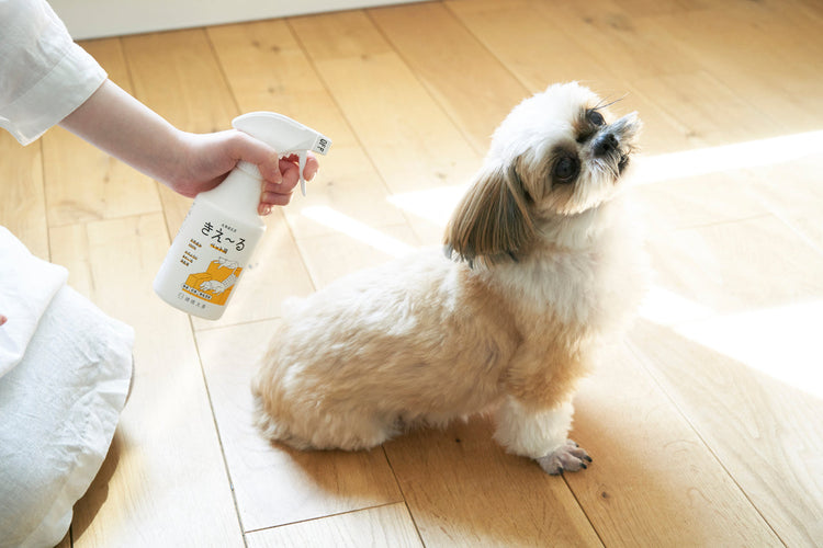 犬の日キャンペーン対象商品