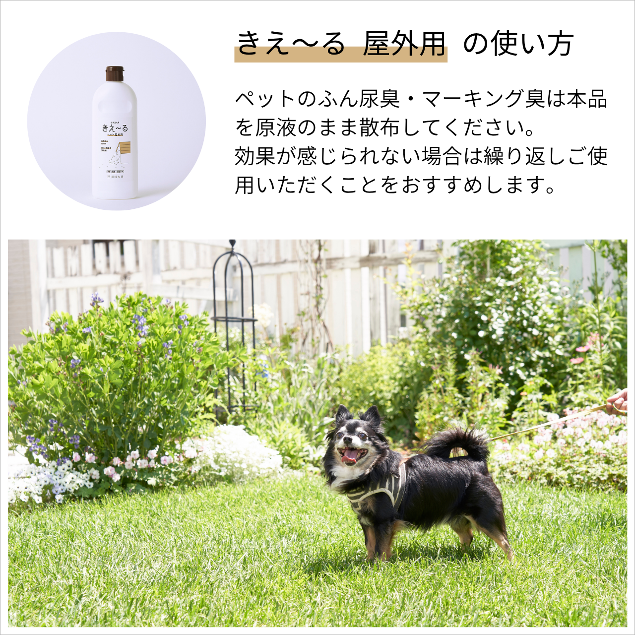 ペットのふん尿臭・マーキング臭は本品を原液のまま散布してください。
効果が感じられない場合は繰り返しご使用いただくことをおすすめします。