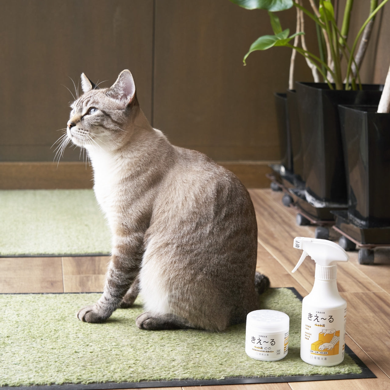 きえ〜る ペット用 詰替（500ml、1L、4L、10L、20L）｜環境大善｜公式