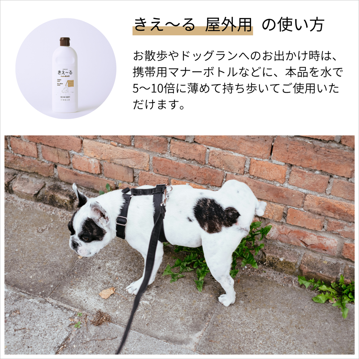きえ〜る ペット屋外用 詰替(1L、4L、10L、20L)|環境大善|公式 きえ〜る ペット屋外用 詰替(1L、4L、10L、20L)|環境大善|公式
